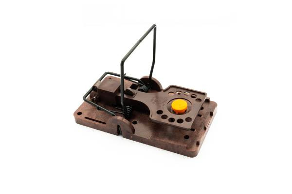 tapette anti souris et rats